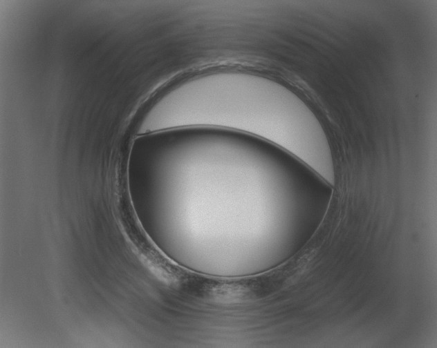 X0000081410444200701120922