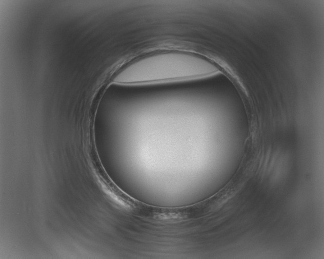 X0000081410445200701120922