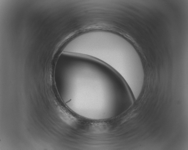 X0000081410446200701120922