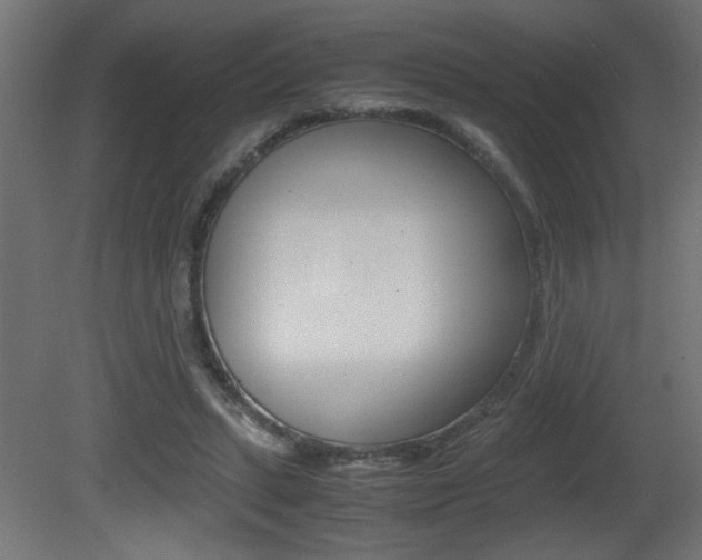 X0000081410447200701120922
