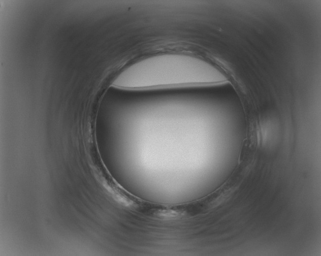 X0000081410453200701120922