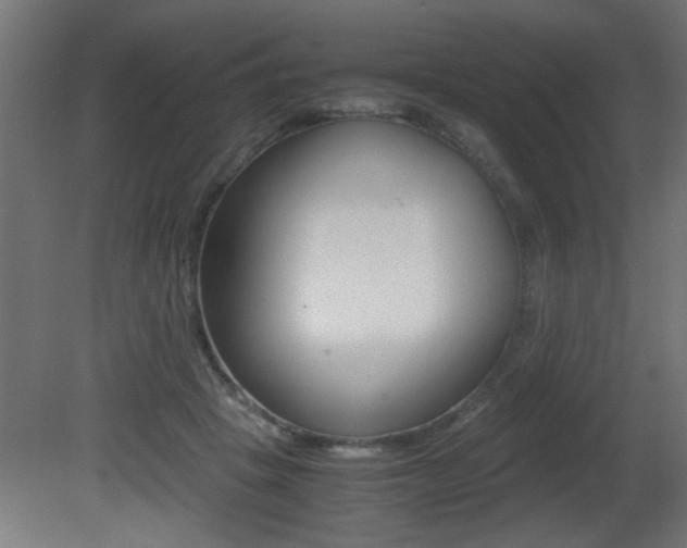 X0000081410457200701120922