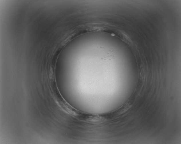 X0000081410459200701120922