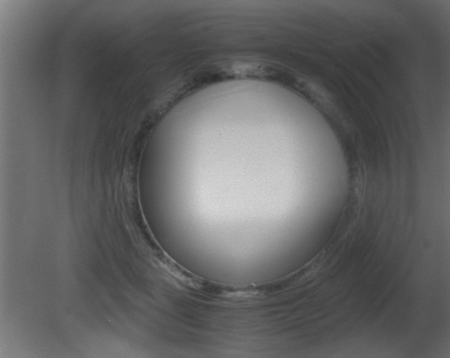 X0000081410461200701120922
