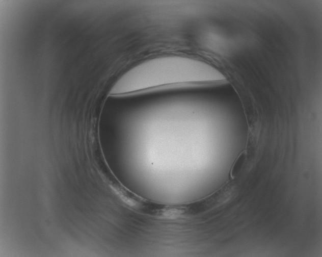 X0000081410462200701120922