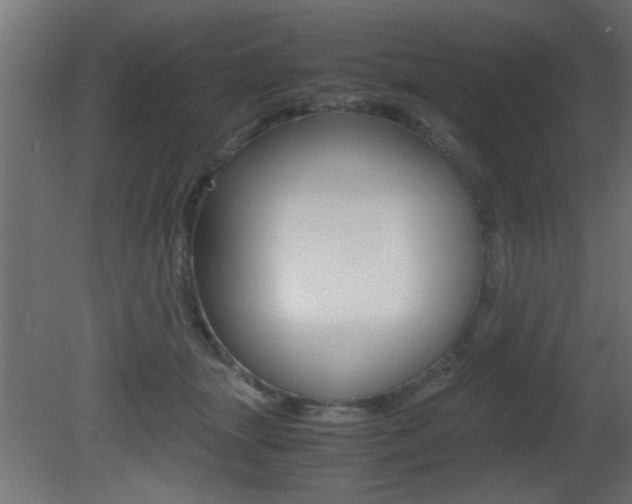 X0000081410463200701120922