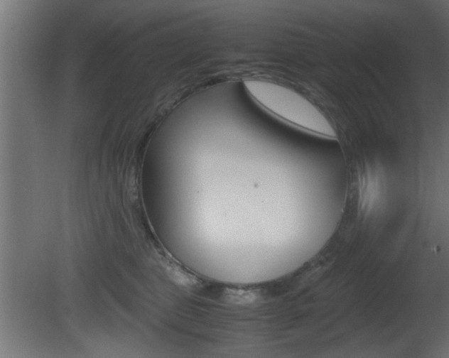 X0000081410469200701120923