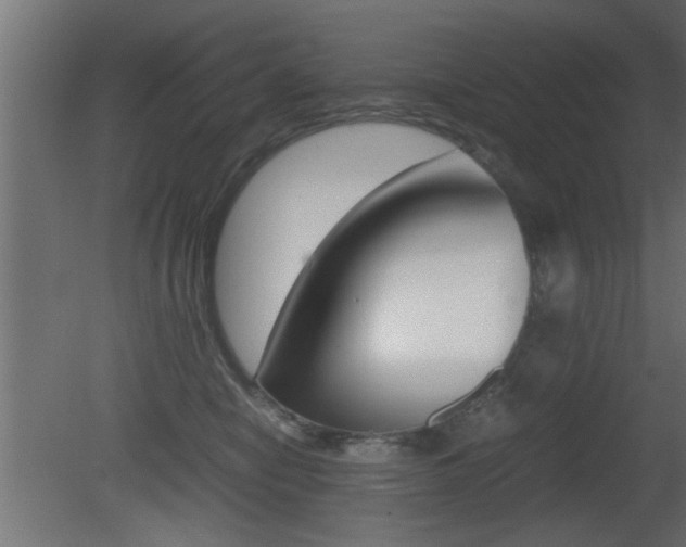 X0000081410470200701120923