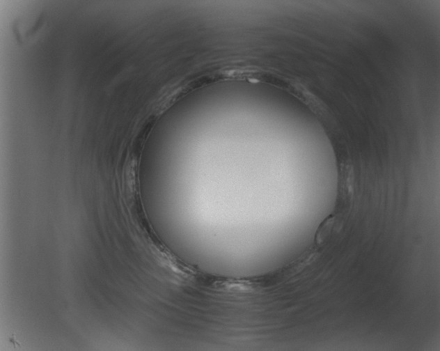X0000081410475200701120923