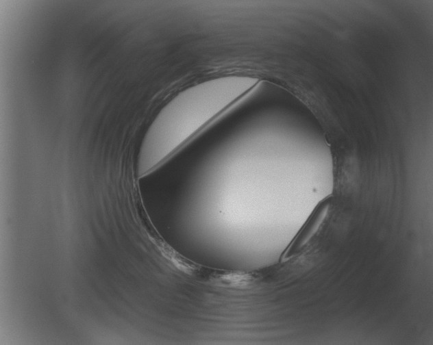X0000081410478200701120923