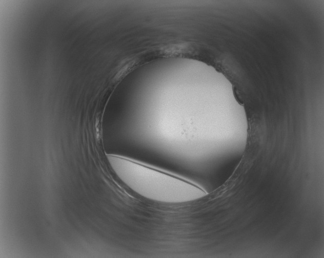 X0000081410479200701120923