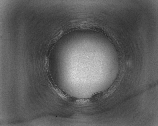 X0000081410480200701120923