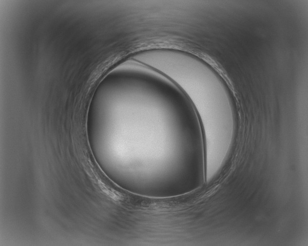 X0000081410481200701120922