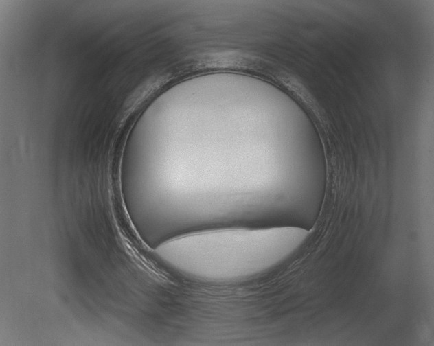 X0000081410482200701120922