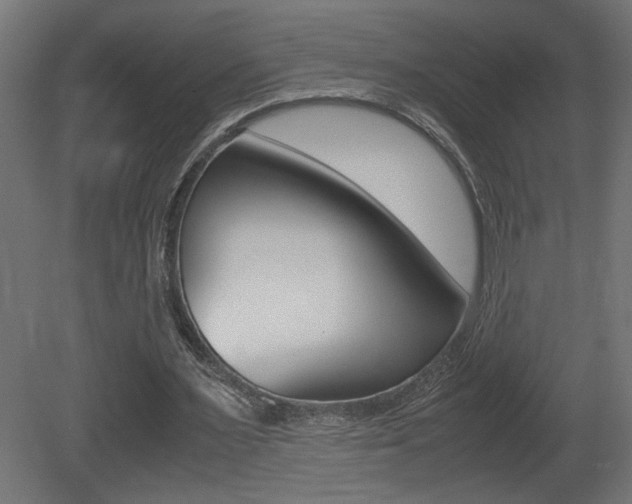 X0000081410483200701120922