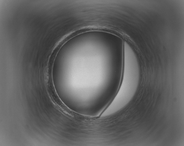 X0000081410484200701120922