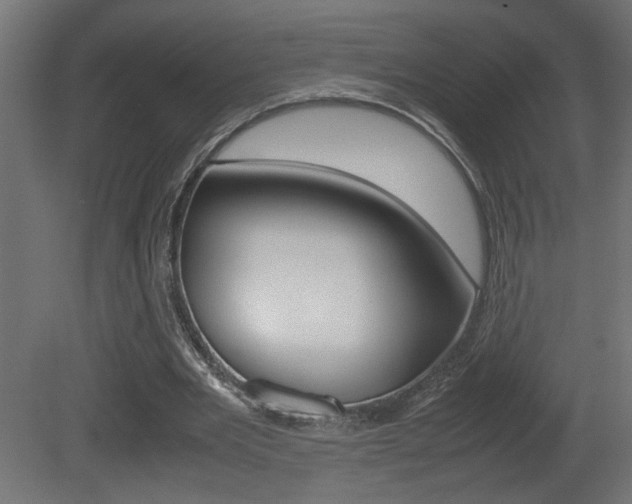 X0000081410485200701120922