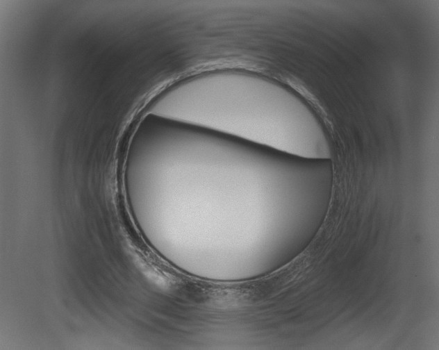 X0000081410486200701120922
