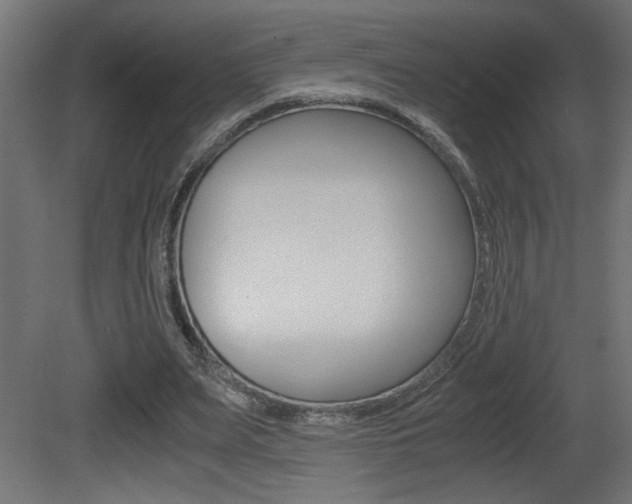 X0000081410487200701120922