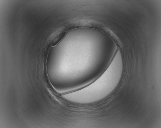 X0000081410493200701120922