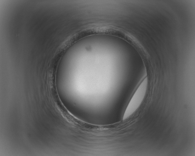 X0000081410497200701120922