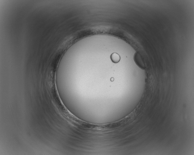 X0000081410498200701120922