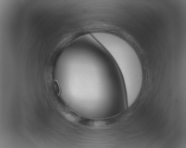 X0000081410501200701120921