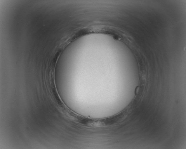 X0000081410503200701120921