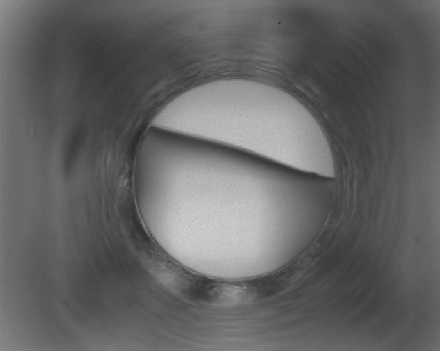 X0000081410507200701120921