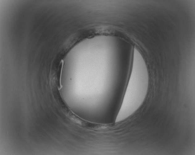 X0000081410513200701120921