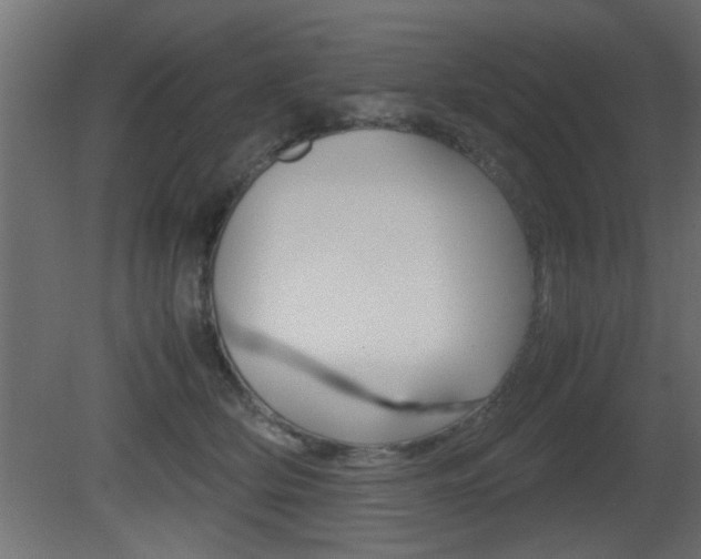 X0000081410514200701120921