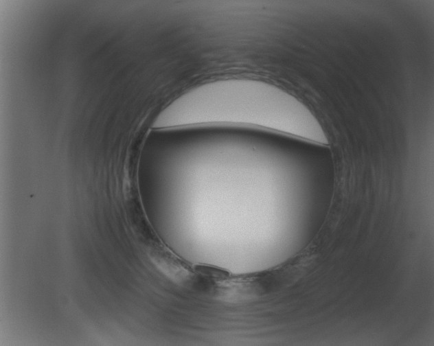 X0000081410516200701120921