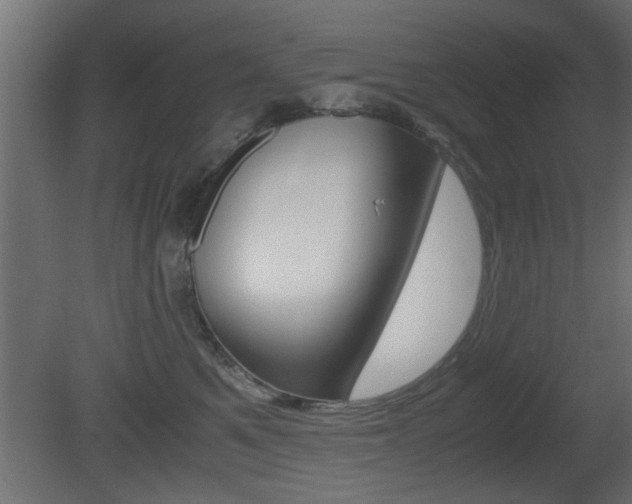 X0000081410521200701120921