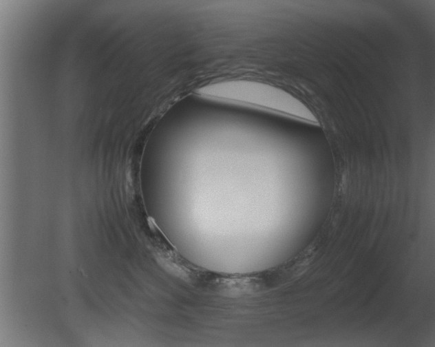 X0000081410524200701120921