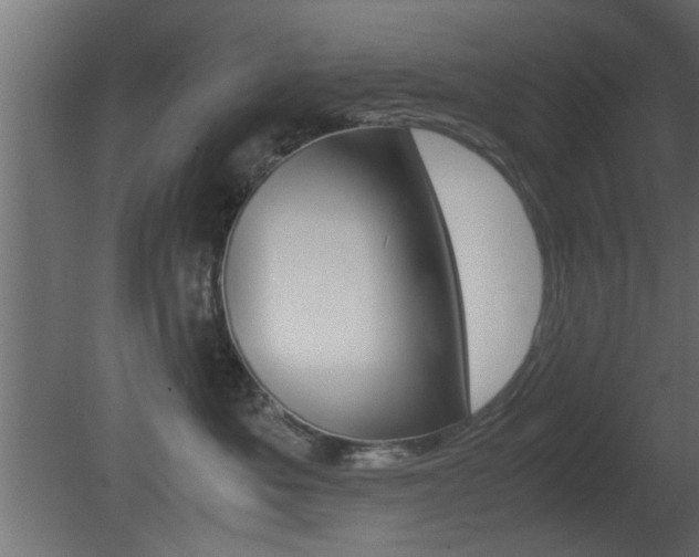 X0000081410525200701120921