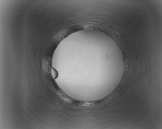X0000081410527200701120921