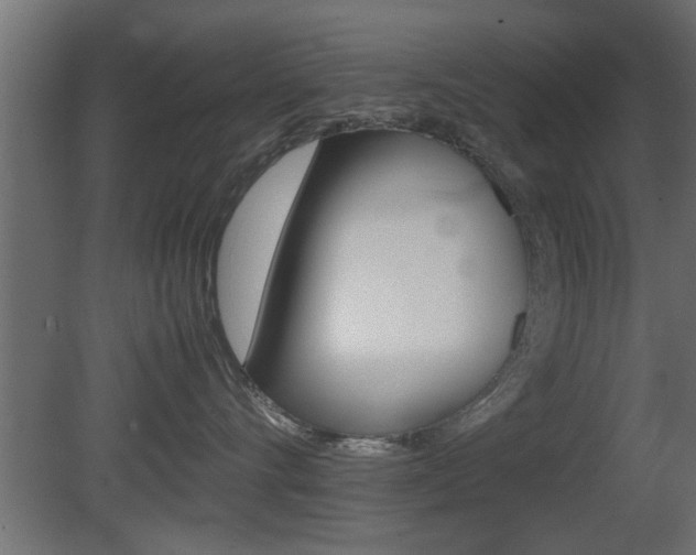 X0000081410528200701120921