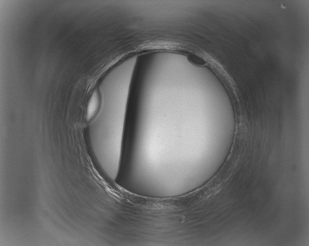 X0000081410529200701120920