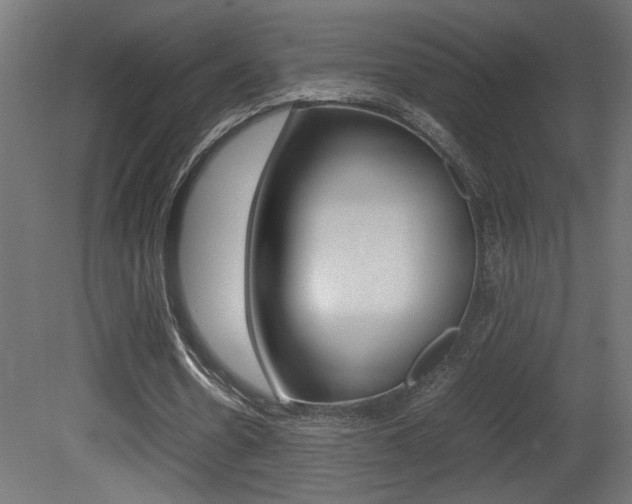 X0000081410530200701120920