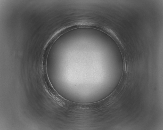 X0000081410531200701120920