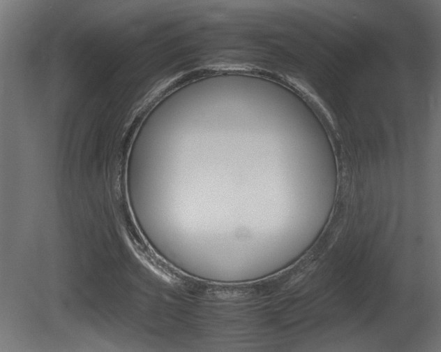 X0000081410533200701120920