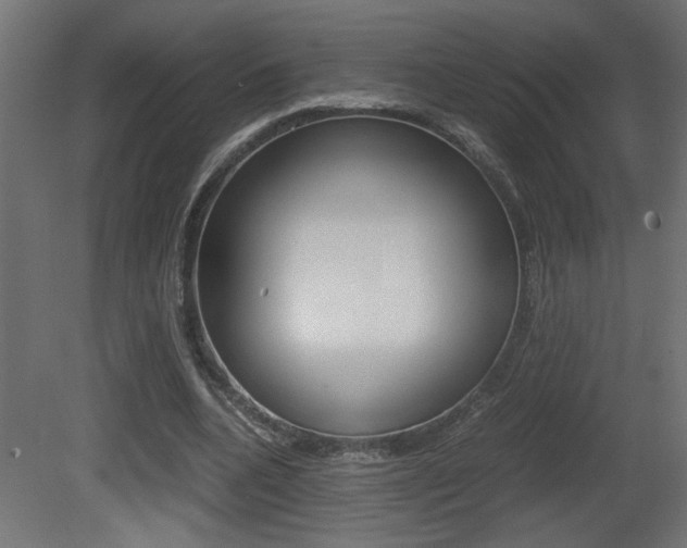 X0000081410536200701120920