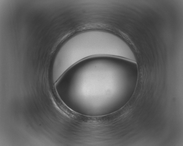 X0000081410538200701120920