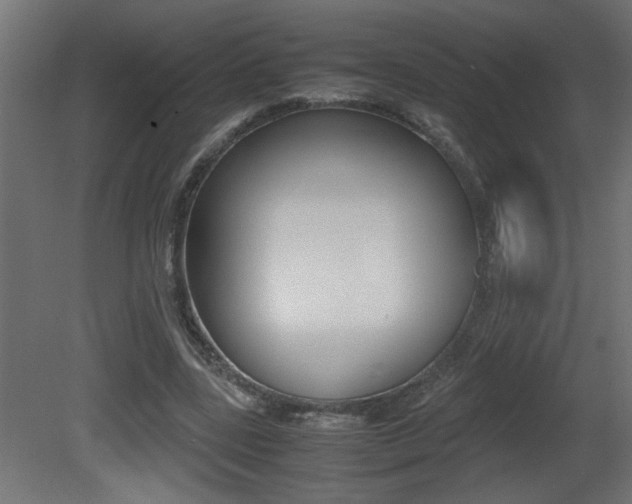 X0000081410539200701120920