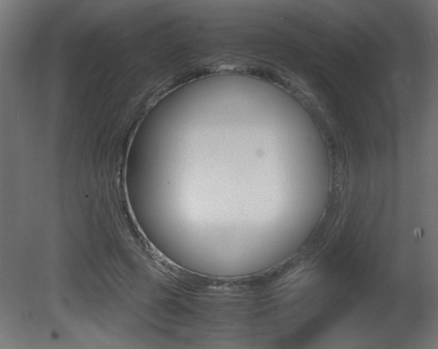 X0000081410545200701120920