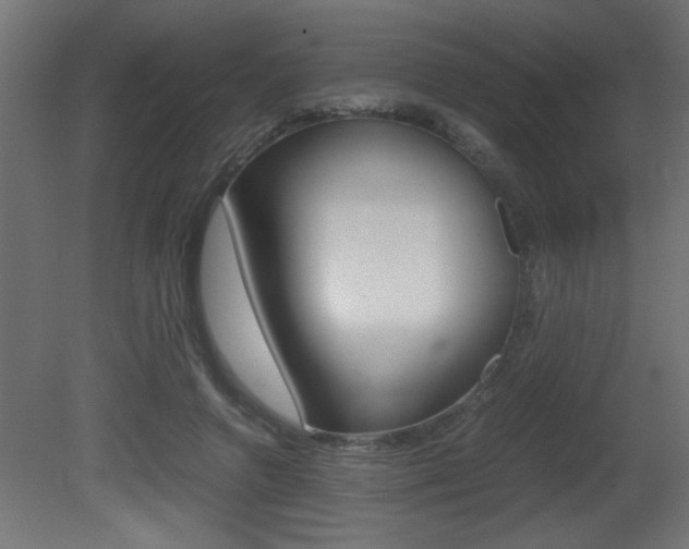 X0000081410546200701120920