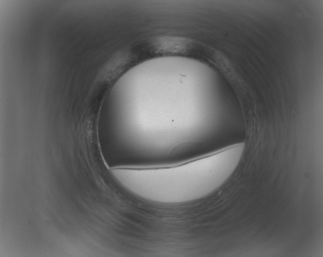 X0000081410551200701120921