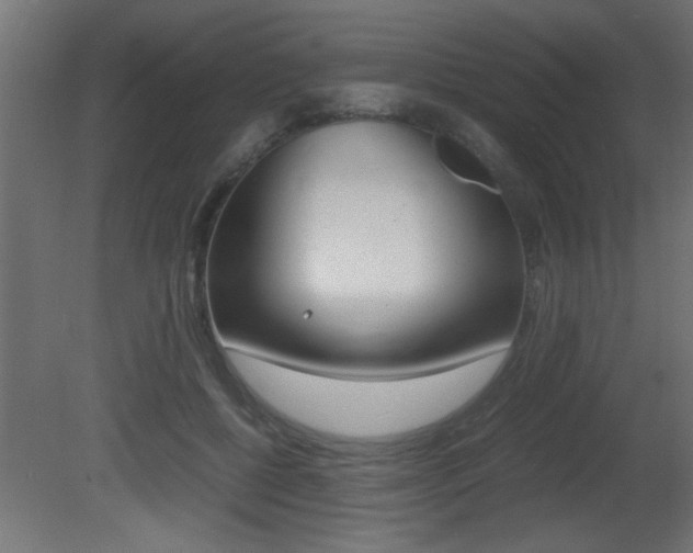 X0000081410552200701120921
