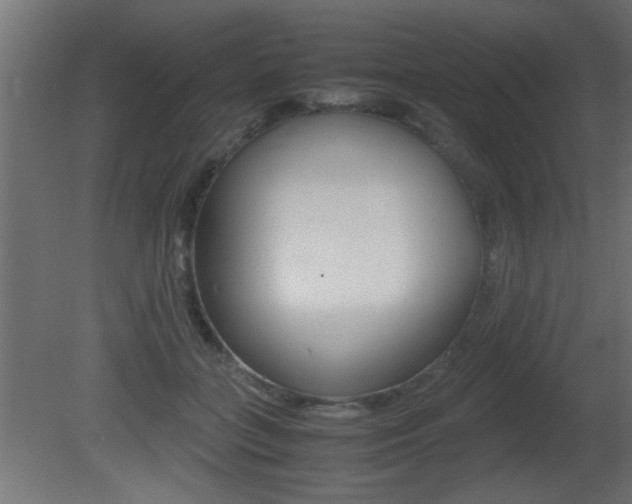 X0000081410555200701120921