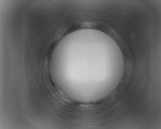 X0000081410557200701120921